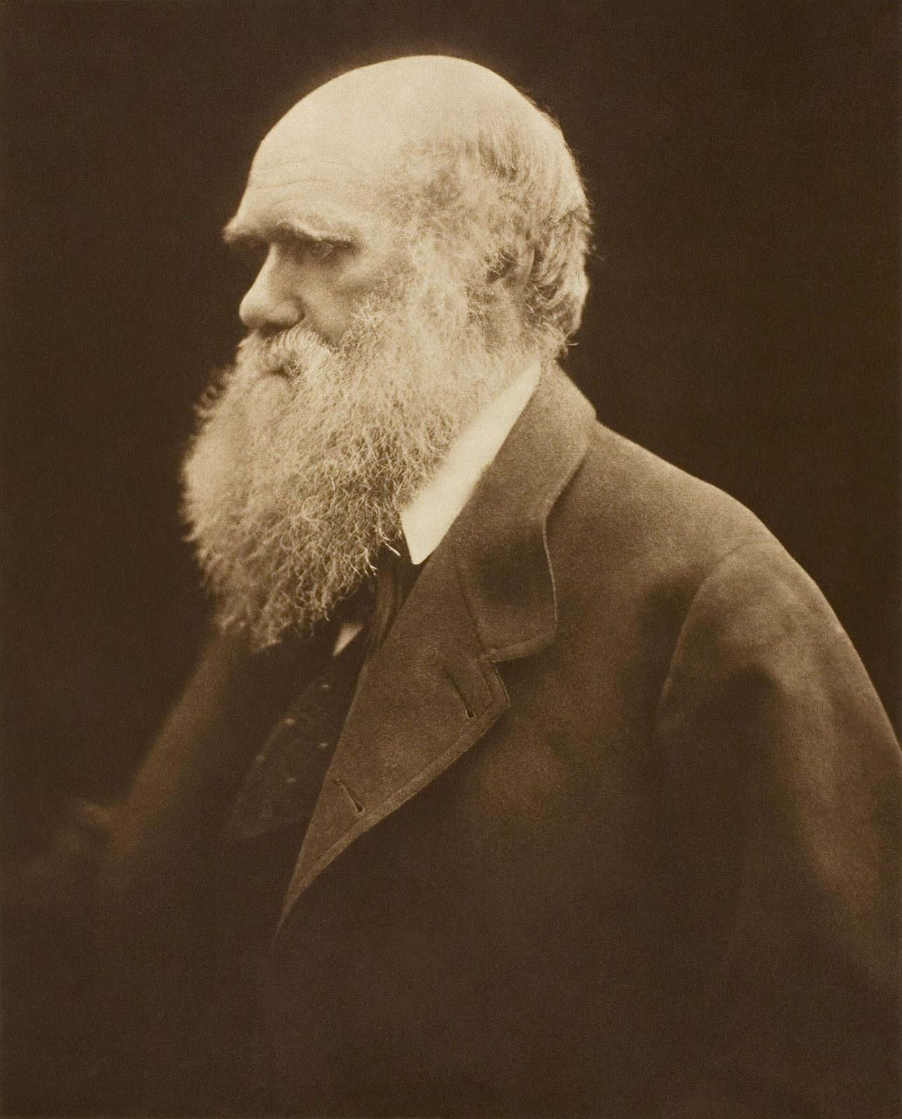 Charles Darwin photographed by Julia Margaret Cameron, c. 1868
