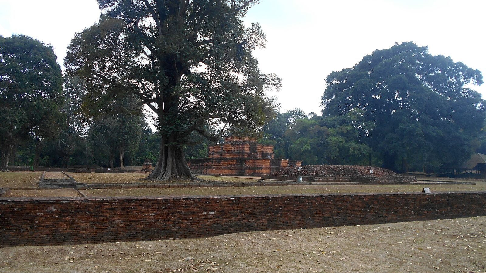 The Muaro Jambi temple complex in Sumatra — the Buddhist monastic center of the Srivijaya empire, 7th–13th century