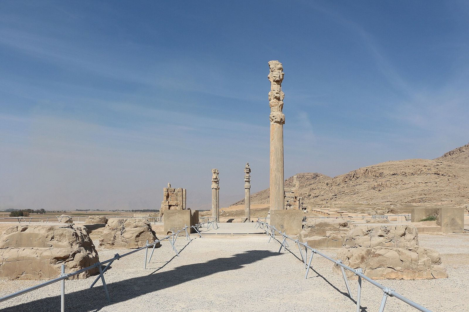 The stone columns of the Apadana at Persepolis, capital of Achaemenid Persia