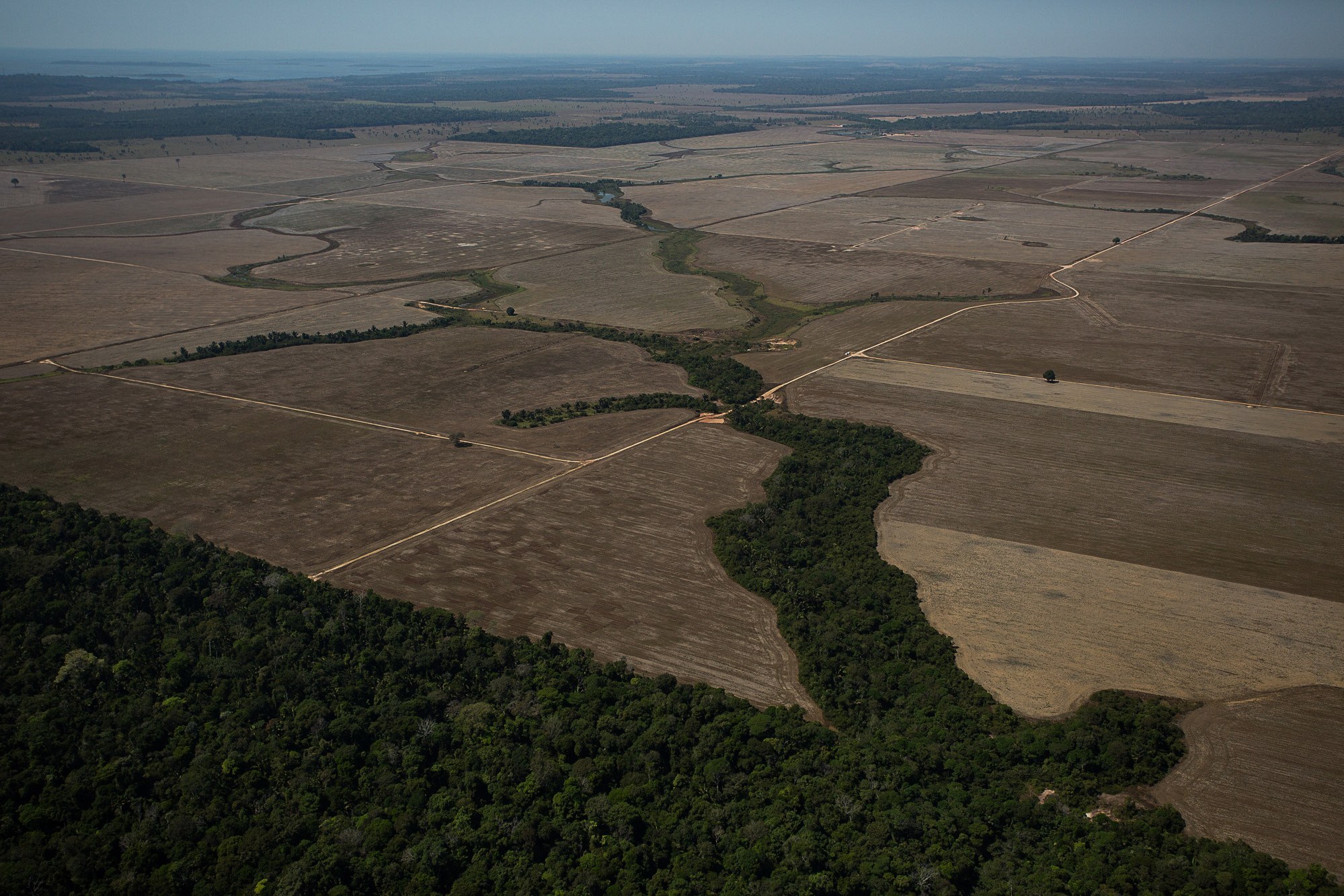 La déforestation amazonienne au Brésil tombe à un niveau record à l'approche d'un second tour décisif